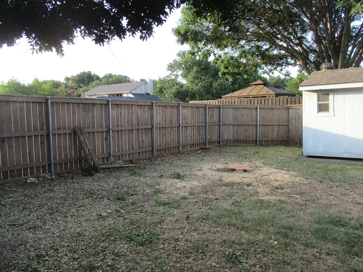 Cleared yard after professional tree removal in Lanesville