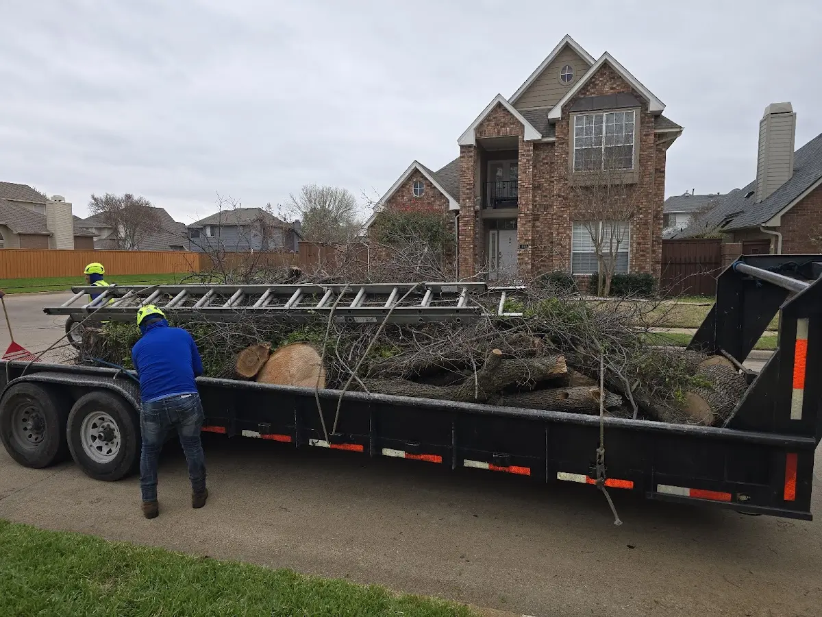 Expert Tree Fertilization with proper safety equipment in Lanesville